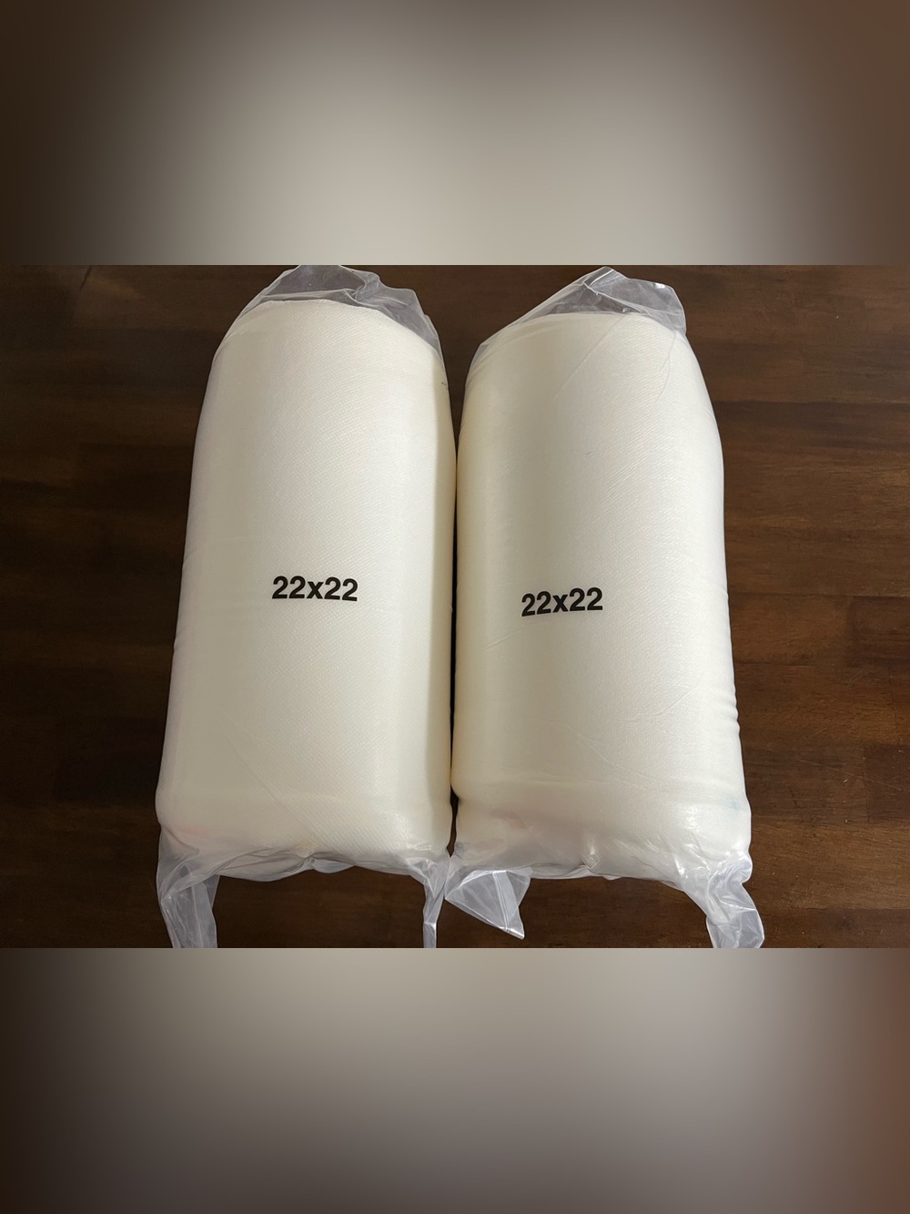 2 outdoor cushions 22x22